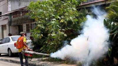 En febrero de 2016 se reportó la primera muerte por dengue.
