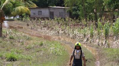 Bomberos inspeccionan el río Ulúa.