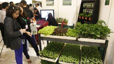 Ruedas de negocios les abren puertas a pymes