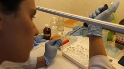 En España hay 140 casos de zika importados. Foto: EFE/Marcelo Sayão