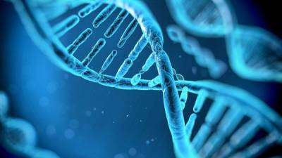 El ADN sufre cambios que afectan la salud.