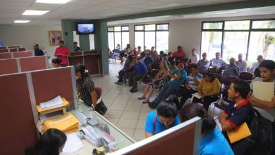 Afiliados acuden a diario a las oficinas del RAP.