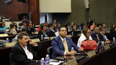 Los diputados discutieron los primeros artículos de la ley de política limpia.