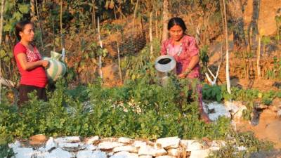 En 2016 se registraron 13.351 casos de desnutrición aguda y el año pasado hubo 1.213 menos. EFE/Archivo
