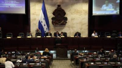 Los legisladores buscan no desamparar a la niñez hondureña.