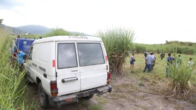 Elmer Orellana fue asesinado en unas cañeras.