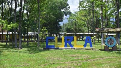 El Curla de La Ceiba tendrá tres centros experimentales.