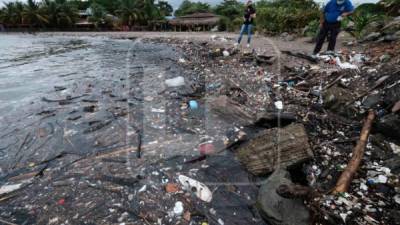 Según biólogos, la basura procedente de guatemala está dañando lagunas, manglares y bancos de pesca de las costas de Honduras. Fotos: Yoseph Amaya