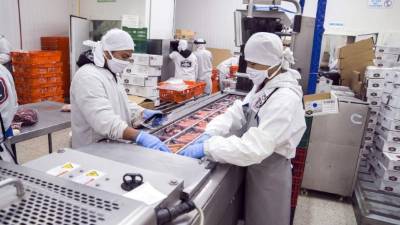 La empresa utiliza procesos que le dan valor agregado a su producto.