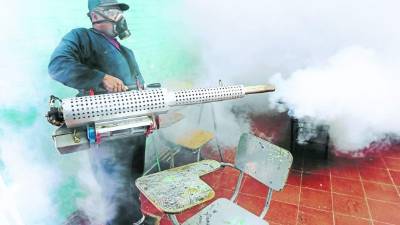 La falta de fumigación mantiene preocupados a los ciudadanos.