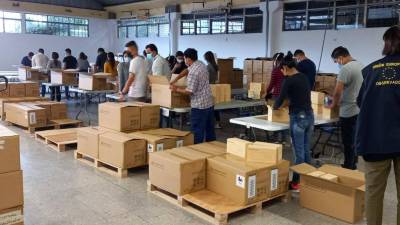 El decreto ratifica la obligación del Infop de facilitar los mecanismos necesarios para el buen desarrollo de los comicios.