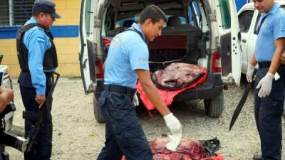 Técnicos de la DPI inspeccionan la carne del caballo.