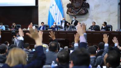 La diputada Silvia Ayala, del Partido Libre, aseguró que “para la aprobación de esta ley hay que reformar otras, para que no se contravengan”.