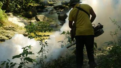 La intención es evitar que se incrementen los casos de dengue, zika y chigungunya en la temporada de verano.