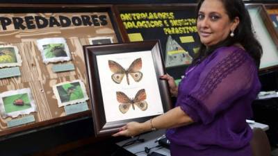 Karla Cantarero es una de las investigadoras. Ella con un grupo de estudiantes descubrieron la especie de mariposa. Foto: Andro Rodríguez