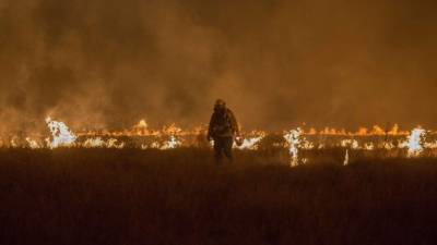El 2017 se considera como el año más letal en cuanto a incendios para California.