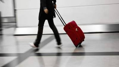 Trascendió que los animales se encontraban en pequeñas bolsas plásticas, usadas generalmente para guardar comida.