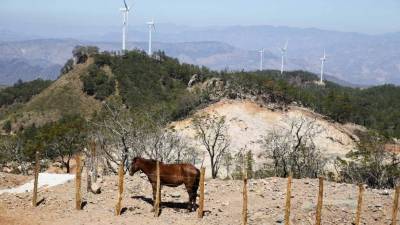 Vista del parque eólico San Marcos que generará 50 megavatios. Europa ha mostrado interés en esta industria.