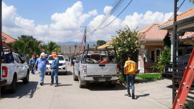 problema. Anuncian que seguirán trabajando en los operativos porque el robo es grande.