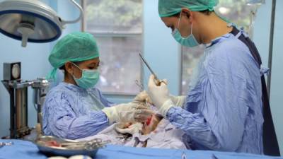 La Veterinaria Rivera tiene un quirófano equipado y esterilizado para la cirugía de animales.