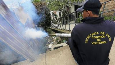 En varias zonas han fumigado para erradicar los zancudos.