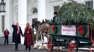 Donald Trump se convirtió hoy en el primer presidente en recibir el árbol de Navidad, una tarea relegada a la primera dama./AFP.