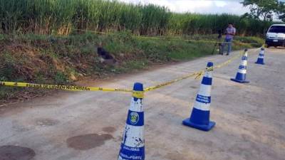 La mujer fue asesinada durante la noche del pasado domingo.