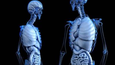 Con el uso de las cápasulas pruebas menos invasivas como las colonoscopias.