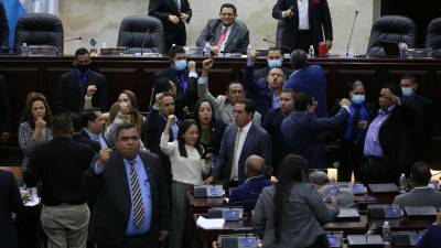Diputados del Partido Nacional protestan durante una sesión en el Congreso Nacional de Honduras.