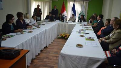 Directorio del RNP recibió a Reniec/Giz, de Perú.