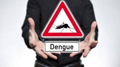 Un anticuerpo que es efectivo contra el dengue podría también combatir al Zika.