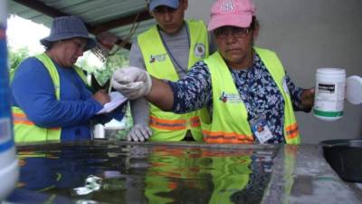 LABOR. Personal de la Municipalidad de San Pedro Sula aplica larvicidas en una pila durante una jornada en El Zapotal.