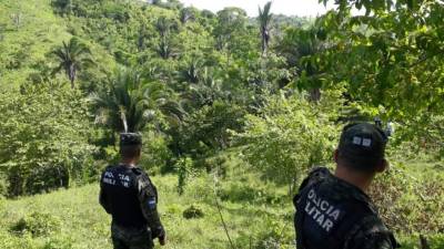 Los cuerpos fueron abandonados en una zona montañosa de Choloma.