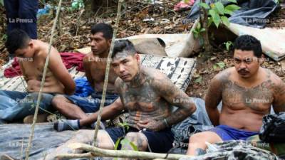 Los cuatro supuestos pandilleros fueron detenidos cuando intentaban mover el campamento de lugar, tres de ellos tienen tatuajes de la MS-13. En el lugar se encontraron armas y droga.