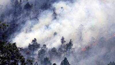 Un total de 36.000 hectáreas de bosques y pasto fueron destruidas en 892 incendios registrados el año pasado en el país centroamericano, según cifras del Instituto de Conservación Forestal. EFE/Archivo