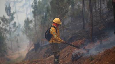 Las autoridades del <b>ICF </b>y ambientalistas consideran que muchos de los incendios son provocados por el hombre, que sigue utilizando prácticas como la quema del suelo antes de sus siembras de cultivos de subsistencia.