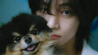 Yeontan fue una figura importante en la vida personal de Taehyung.