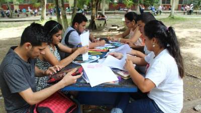 Las empresas están demandando personal con posgrados para áreas especializadas. Foto: Jorge Monzón