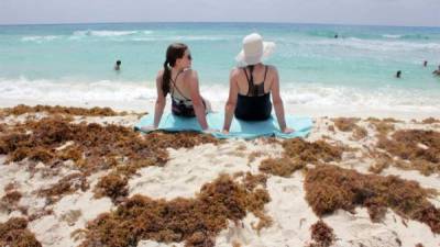 Una plaga de sargazo opaca la belleza de las paradisíaca playas del Caribe mexicano, espantando a los turistas en los destinos más populares de México.