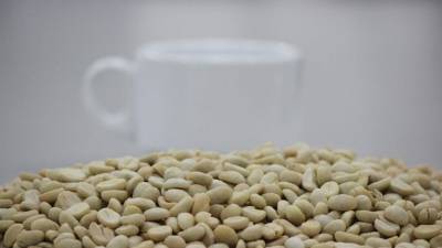 El rubro cafetero hondureño espera obtener aún mejores resultados en el próximo ciclo de cosecha.