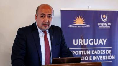 El subsecretario para América Latina y el Caribe de la Secretaría de Relaciones Exteriores de México, Maximiliano Reyes. EFE/Archivo