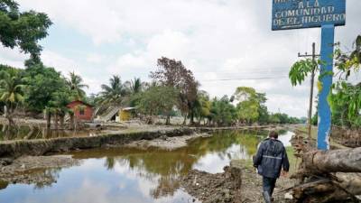 Aún hay agua estancada en varias zonas de Choloma. Fotos José Cantarero.