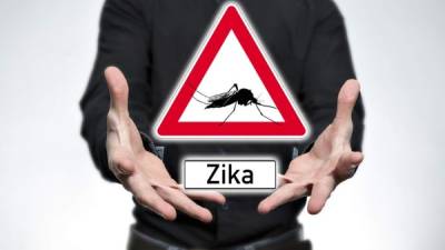 El virus del Zika podría afectar la fertilidad en los hombres infectados.