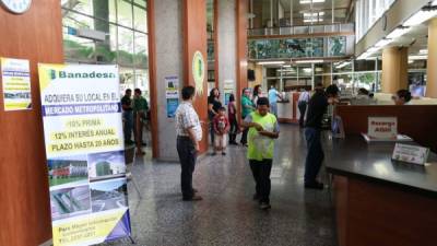 Los productores dicen que parte de la mora de Banadesa es tóxica porque incluyen deudas de hace 40 años.