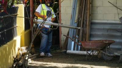 Autoridades de Salud enfatizan en que los patios deben estar limpios. Trabajos de fumigación arrancaron la semana pasada.