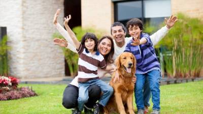 Los perros se caracterizan por su fidelidad con sus amos. Además, son muy cariñosos.
