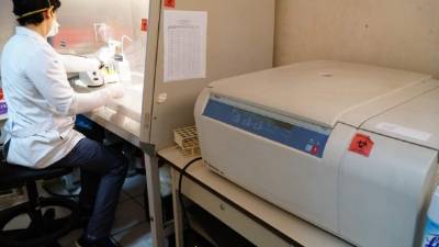 En el laboratorio del sitio centinela del centro de salud Miguel Paz Barahona analizan las pruebas de hisopado que llegan del Rivas y el Seguro Social.