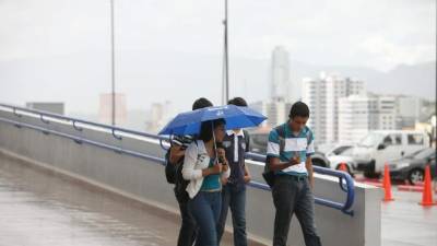 Los pronósticos establecen que se van a formar entre 10 y 16 tormentas tropicales.