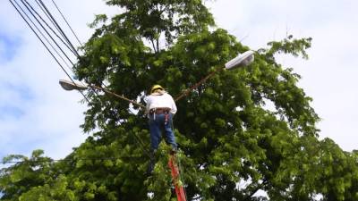 Cuadrillas instalan lámparas en bulevar del norte.