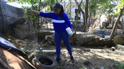 Una empleada de Copeco revisa un patio en El Ocotillo, donde encontraron llantas y otros recipientes con larvas.Fotos: M. Valenzuela.